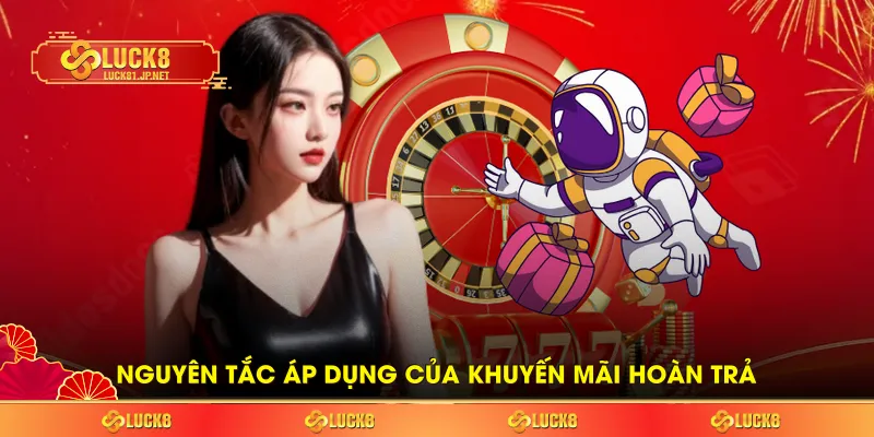 Nguyên tắc áp dụng của khuyến mãi hoàn trả Nguyên tắc áp dụng của khuyến mãi hoàn trả